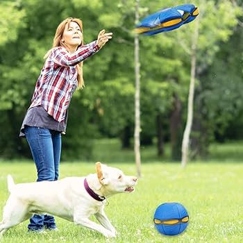 Pelota Juguete Voladora Flying Saucer Ball