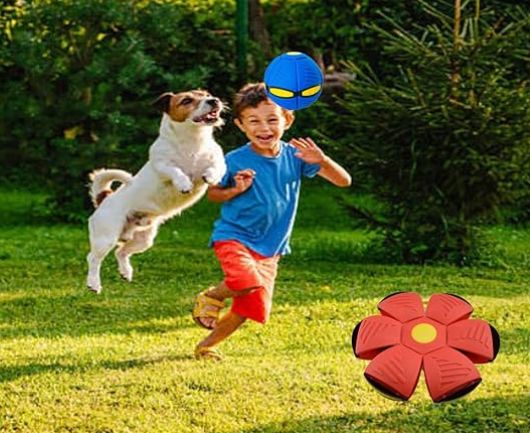 Pelota Juguete Voladora Flying Saucer Ball