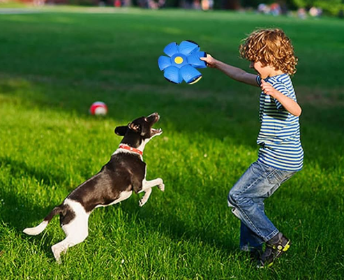 Pelota Juguete Voladora Flying Saucer Ball